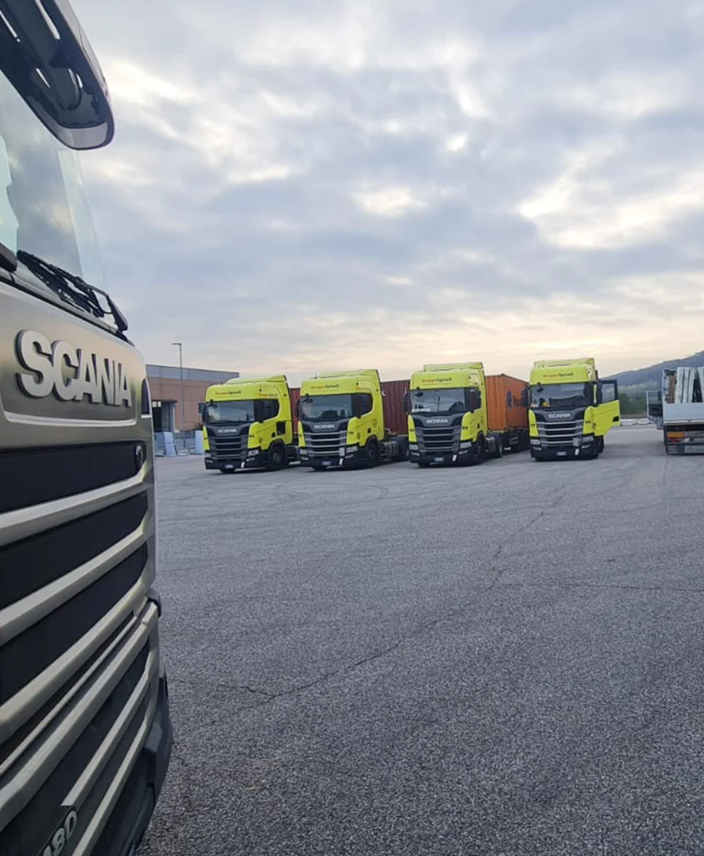 Camion gialli parcheggiati in fila nel piazzale.